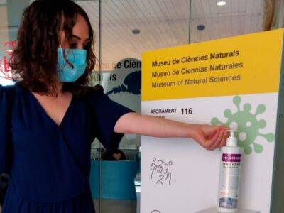 Els museus municipals obrin les seues portes / Los museos municipales abren sus puertas