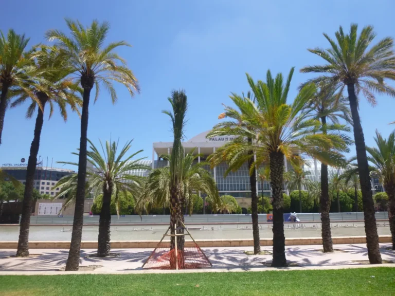 València tiene un centenar más de palmeras