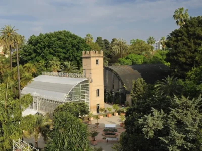 Jardí Botànic de València, Jardín Botánico de València