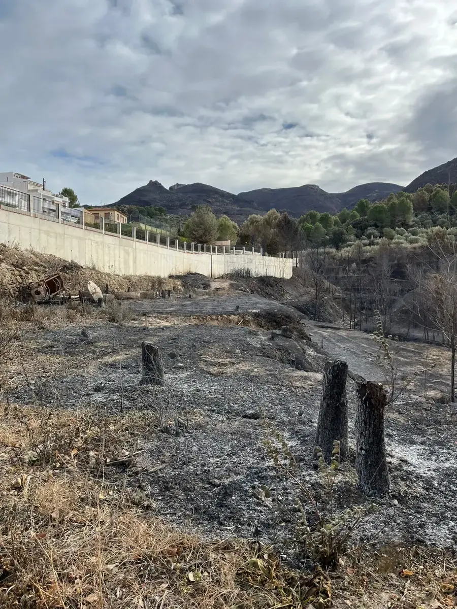 Incendi montitxelvo