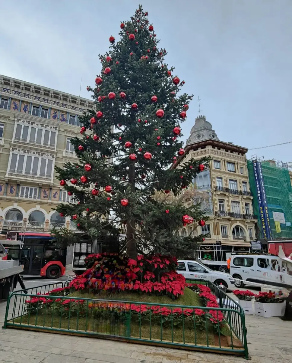 L'Ajuntament instal·la un Arbre de Nadal a la Plaça de la Reina d'11 metres d'alçària 1 arbre de Nadal a la plaça de la Reina, árbol de Navidad en la plaza de la Reina
