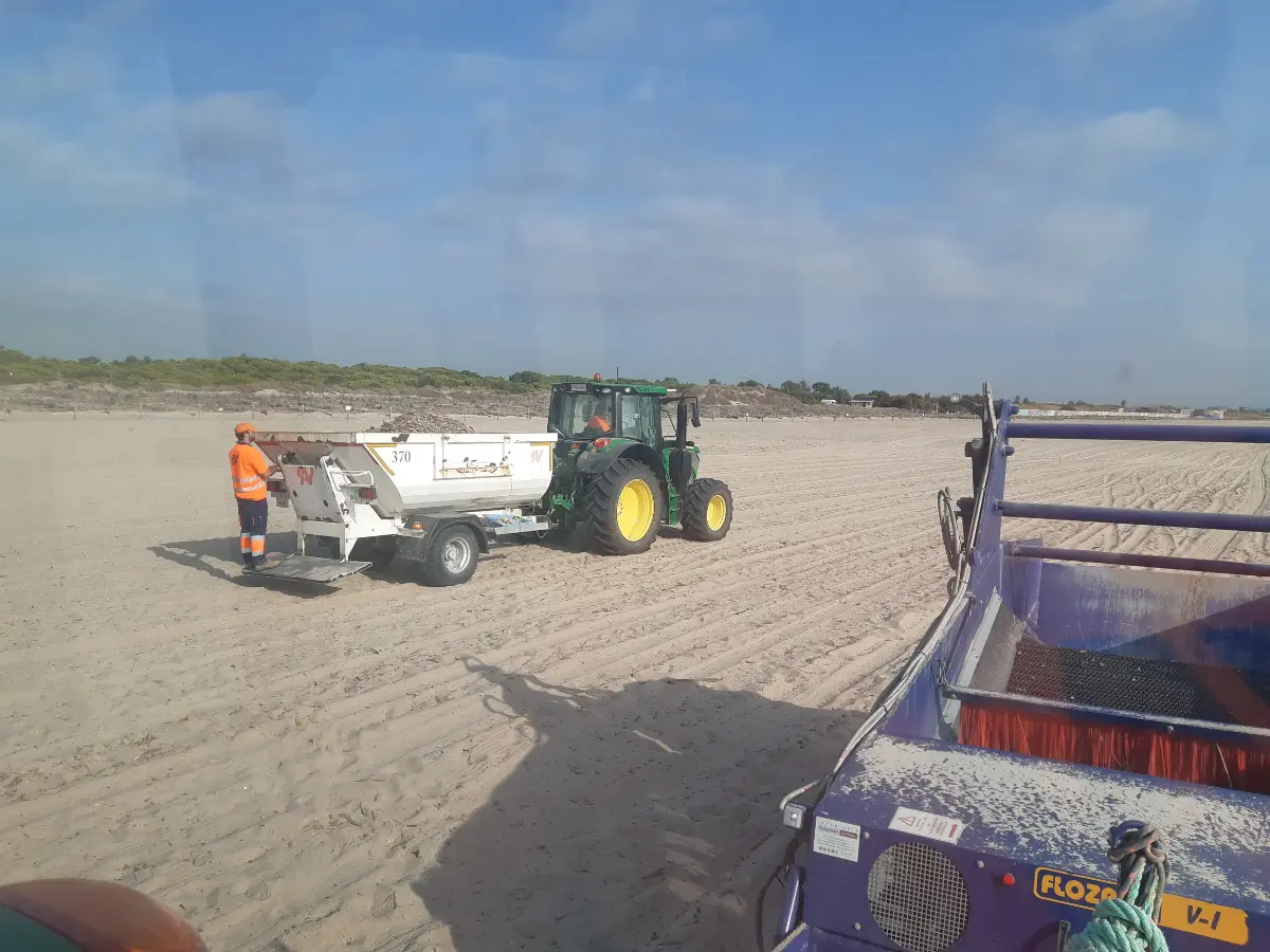 66.000 kilos de maderas y cañas retirados en la limpieza de las playas del Sur de València