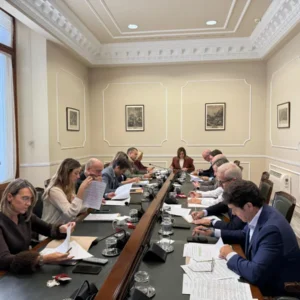 Ban Faller 2026, Bando Fallero 2026