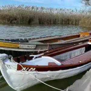 barca elèctrica Albufera