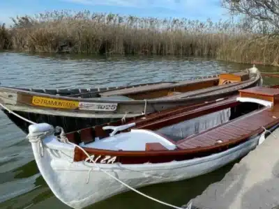 barca elèctrica Albufera