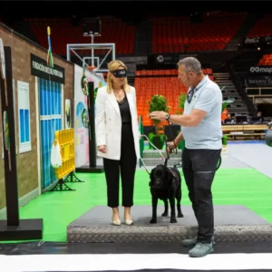Gossos guia ONCE València durant l’exhibició de la Fundació ONCE del Perro Guía