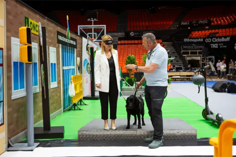 Gossos guia ONCE València durant l’exhibició de la Fundació ONCE del Perro Guía