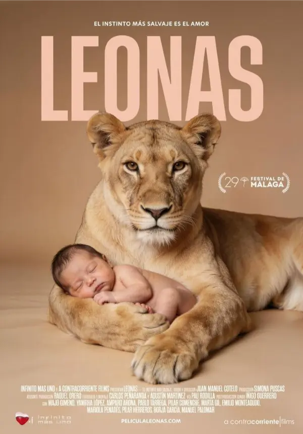 Cartell de leonas