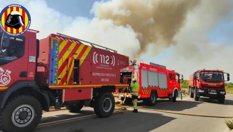 Incendi a El Saler amb efectius de bombers treballant en l'extinció