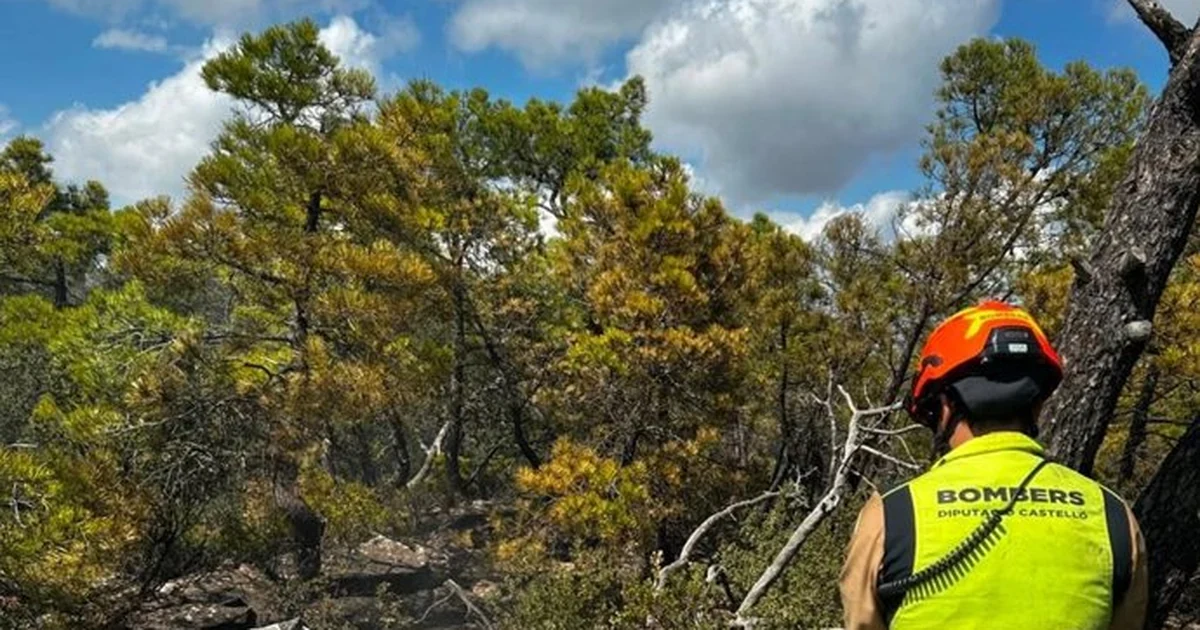 L’incendi de Segorbe queda estabilitzat després d’afectar unes 630 hectàrees