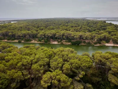 Vista panoràmica de la Devesa del Saler abans de l’incendi, espai afectat pel foc d’agost de 2026