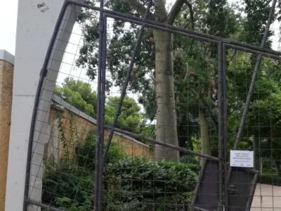 Jardí d’Aiora tancat per l’alerta taronja per pluges a València
