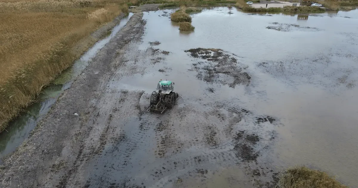 València: Turisme, Oci, Actualitat i tot el que has de saber sobre la ciutat 50 La Marjal dels Moros mesurarà si la gestió del sòl reduïx les emissions